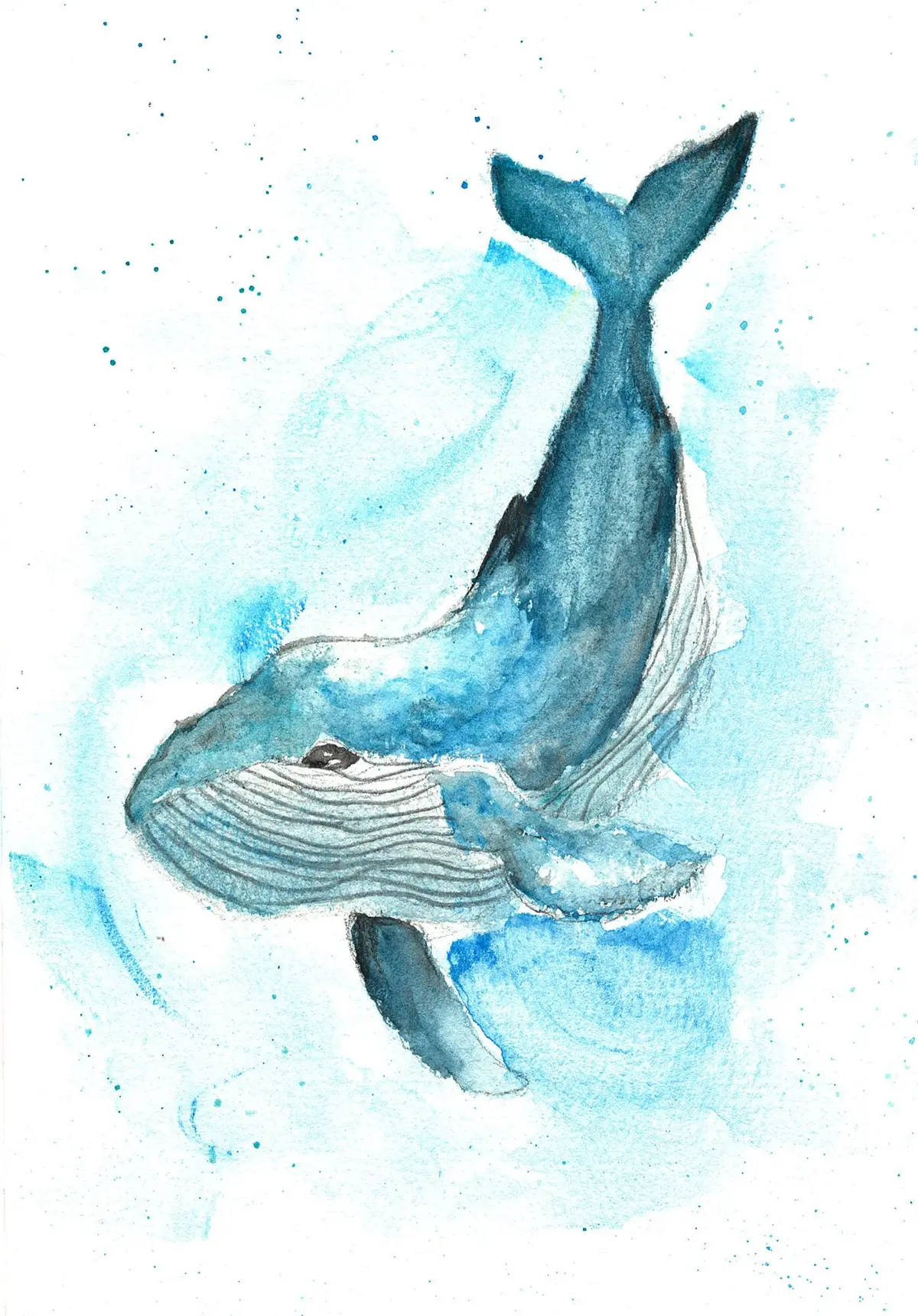 Humpback Whale, watercolor painting by a young artist