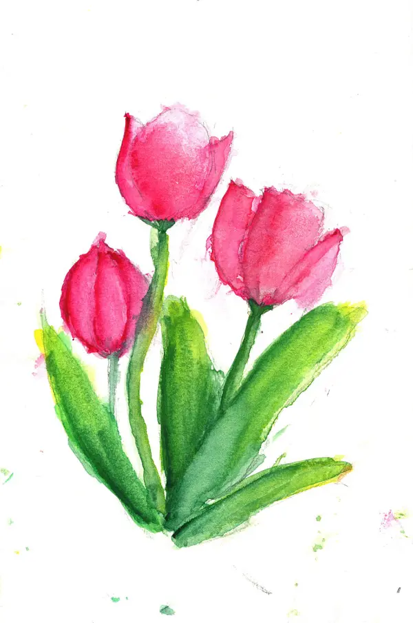 Pink Tulips, a watercolor by a young artist