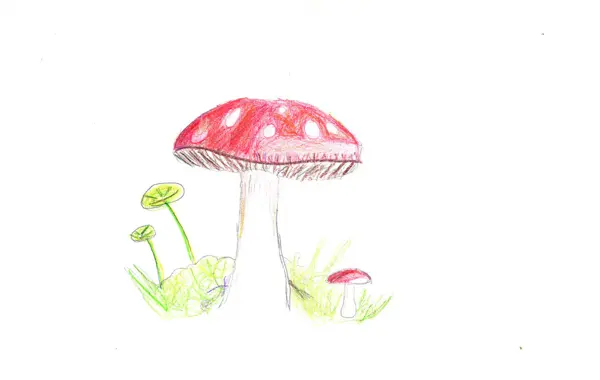 Red Mushroom, a watercolor by a young artist