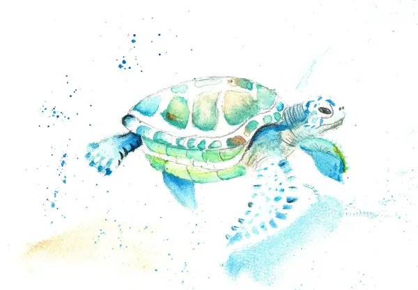 Sea Turtle, a watercolor by a young artist